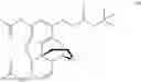 Fig. 51 - 6-acetylmorphine analogs, and methods for their synthesis and use