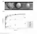 Fig. 02 - PHARMACEUTICAL FORMULATION COMPRISING LIPASE INHIBITOR HAVING INCREASED DISSOLUTION RATE AND REDUCED SIDE EFFECTS, AND METHOD FOR PREPARING SAME