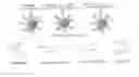 Fig. 01 - Nanoparticles for mitochondrial trafficking of agents