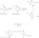 Fig. 170 - Polymer conjugates of therapeutic peptides