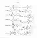 Fig. 02 - Solid phase TGase-mediated conjugation of antibodies