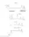 Fig. 09 - Solid phase TGase-mediated conjugation of antibodies