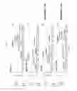 Fig. 20 - Solid phase TGase-mediated conjugation of antibodies