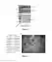 Fig. 06 - SELECTIVE UV CROSSLINKING OF PEPTIDES AND FUNCTIONAL MOIETIES TO IMMUNOGLOBULINS