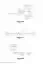 Fig. 08 - SELECTIVE UV CROSSLINKING OF PEPTIDES AND FUNCTIONAL MOIETIES TO IMMUNOGLOBULINS