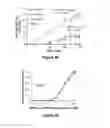 Fig. 24 - SELECTIVE UV CROSSLINKING OF PEPTIDES AND FUNCTIONAL MOIETIES TO IMMUNOGLOBULINS
