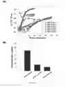 Fig. 03 - Bioadhesive hydrogels