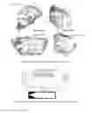 Fig. 06 - High-strength and bio-absorbable magnesium alloys