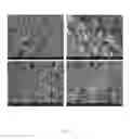 Fig. 05 - Tiny Bone Defect Repairing Material, Matrix Material Thereof and Producing Method Thereof