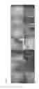 Fig. 04 - TISSUE ENGINEERED INTESTINE