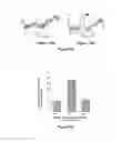 Fig. 07 - BONE SUBSTITUTES GRAFTED BY MIMETIC PEPTIDES OF HUMAN BMP 2 PROTEIN