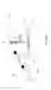 Fig. 63 - Device to dispense fluids