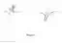 Fig. 05 - Syringe