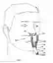 Fig. 03 - Respiratory assembly