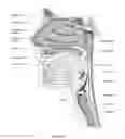 Fig. 06 - Humidifier reservoir
