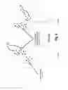 Fig. 04 - Apparatus and method for treating multiple tumors in patients with metastatic disease by electric fields