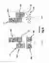 Fig. 09 - Apparatus and method for treating multiple tumors in patients with metastatic disease by electric fields