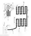 Fig. 14 - Apparatus and method for treating multiple tumors in patients with metastatic disease by electric fields