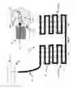 Fig. 15 - Apparatus and method for treating multiple tumors in patients with metastatic disease by electric fields