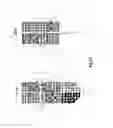 Fig. 22 - Apparatus and method for treating multiple tumors in patients with metastatic disease by electric fields