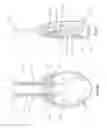 Fig. 06 - Stimulation patterns for treating dry eye