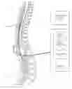 Fig. 01 - Systems and methods for applying electrical stimulation for optimizing spinal cord stimulation