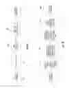 Fig. 09 - System and method of establishing a protocol for providing electrical stimulation with a stimulation system to treat a patient