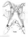 Fig. 09 - Energy absorber assembly and components thereof