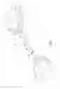 Fig. 03 - Elastic Cord for a Pull Exerciser