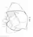 Fig. 09 - HANDLING DEVICE FOR WEIGHT LIFTERS