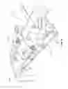 Fig. 12 - Determining work performed on a treadmill