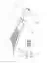 Fig. 03 - FOLDING SWIM FIN