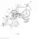 Fig. 15 - Bicycle trainer with variable magnetic resistance to pedaling