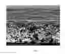 Fig. 03 - Complex nanofiltration membrane and the preparation thereof