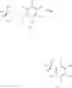 Fig. 19 - P-chirogenic organophosphorus compounds