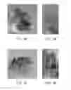 Fig. 03 - PHOTOLUMINESCENT NANO COMPOSITE MATERIAL AND METHOD OF FABRICATING THE SAME