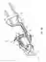 Fig. 17 - Power tool accessory with brace