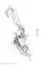 Fig. 26 - Power tool accessory with brace