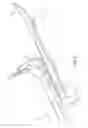 Fig. 03 - Connectable tool assembly