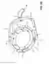 Fig. 11 - GIMBAL ASSEMBLY FOR TOOL SUPPORT