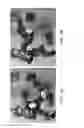 Fig. 04 - Surrogate: a body-dexterous mobile manipulation robot with a tracked base