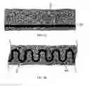Fig. 04 - Three dimensional netted structure