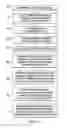 Fig. 07 - Apparatus for forming fuselage stringers