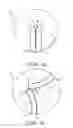Fig. 02 - Torsion device