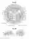 Fig. 06 - Seat reclining device for vehicles
