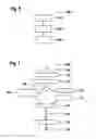 Fig. 08 - Method and device for aligning an illuminated area of a headlight of a vehicle as a function of the surroundings of the vehicle