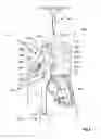 Fig. 18 - Components for active pedestrian safety mechanism