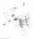 Fig. 19 - Snowmobile