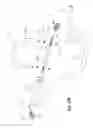Fig. 24 - Snowmobile