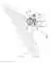 Fig. 07 - ADJUSTING DEVICE FOR A BICYCLE SADDLE